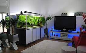 anh-2-1426576776039