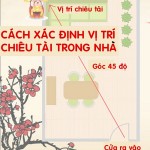 7cach-xac-dinh-va-kich-hoat-vi-tri-chieu-tai-trong-nha