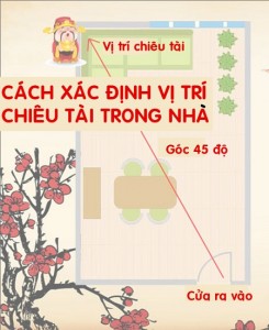 7cach-xac-dinh-va-kich-hoat-vi-tri-chieu-tai-trong-nha