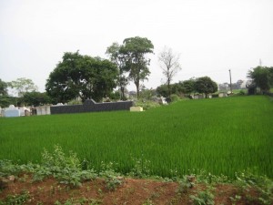 094801baoxaydung_image001