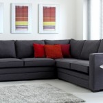 can-trong-bay-sofa-phong-khach-tranh-ta-khi-trong-nha2