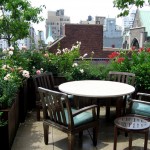 terrace-garden-plants_mini