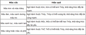 mau sac cua ca voi phong thuy