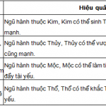 mau sac cua ca voi phong thuy