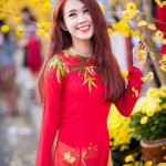 20140203-0229-ngoc-thao-cung-mlee-dien-ao-dai-noi-bat-xuong-pho-dau-nam-1---Copy-1