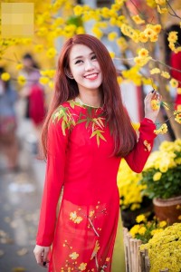 20140203-0229-ngoc-thao-cung-mlee-dien-ao-dai-noi-bat-xuong-pho-dau-nam-1---Copy-1